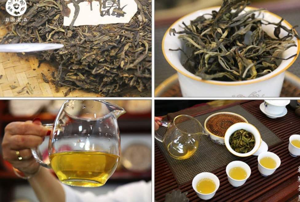 1559697594825958.jpg 深山生茶圖.jpg